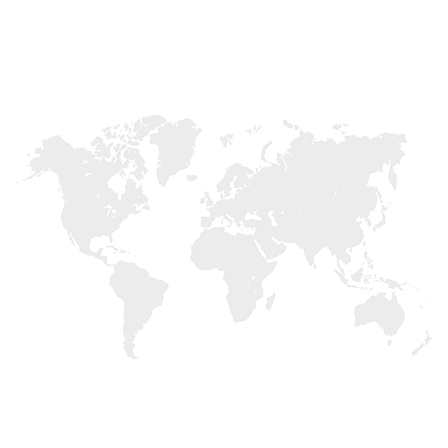 World map in grey