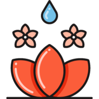 Spa icon