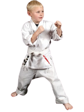 Boy doing martial arts