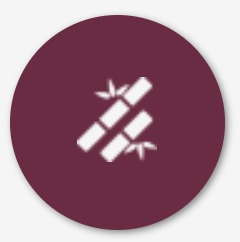 bamboo stick icon