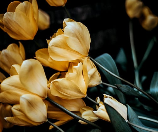 mt-1433-home-gallery-small3