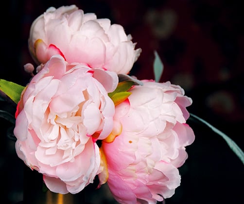 mt-1433-home-gallery-small4